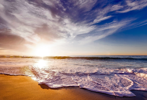 1688939424346135.png image.png