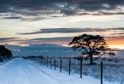 1688939758914832.png image.png