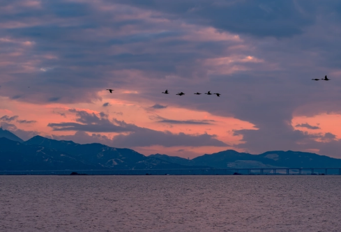 1688939924848958.png image.png