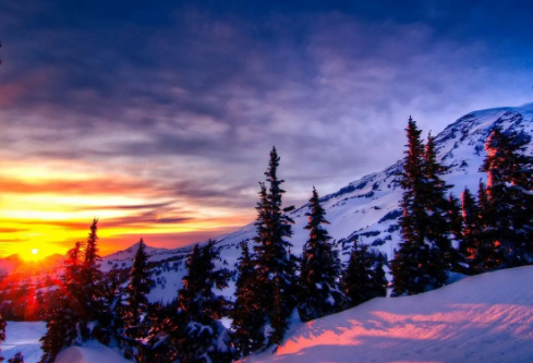 1688940091436373.png image.png