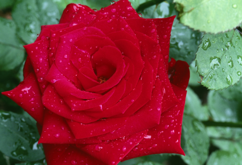 1688958937708471.png image.png