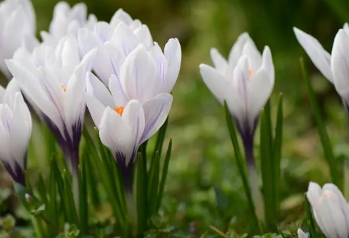 1688961939716888.png image.png