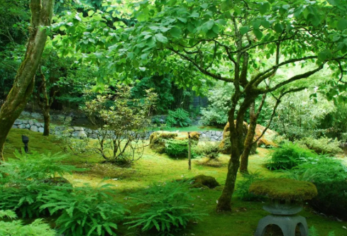 1688963773143169.png image.png