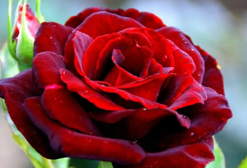 1688969975756801.png image.png