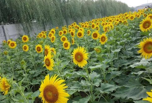 1688975337589611.png image.png