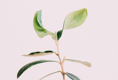 1689006693799064.png image.png