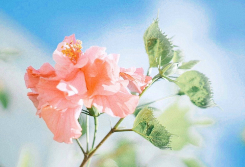 1689022198654709.png image.png