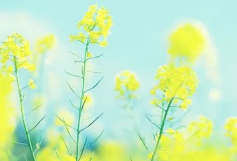 1689022530483591.png image.png