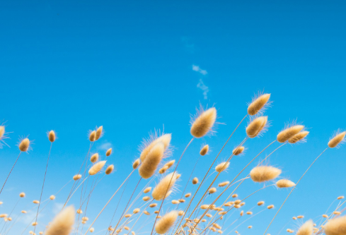 1689022864544690.png image.png