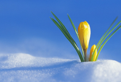 ​孝亲故事有哪些（历史上孝敬父母的典故）