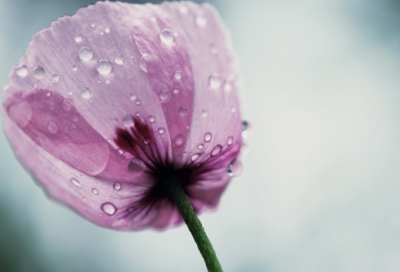 ​3一4岁儿童睡前故事大全（三四岁儿童简短经典故事）