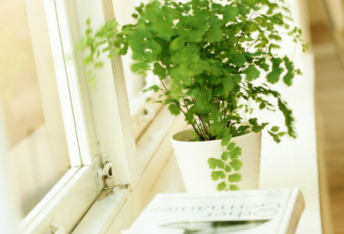 1689023864508888.png image.png