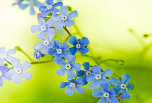 1689024031610114.png image.png