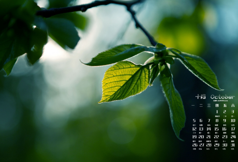 1689024198406536.png image.png