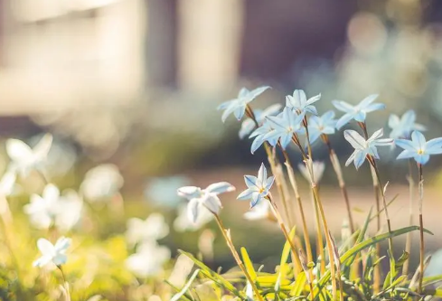 1689024364545741.png image.png