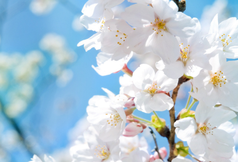 1689025364975240.png image.png