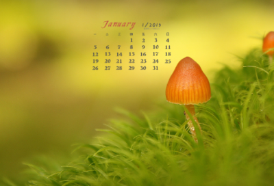 ​关于元宵的故事有什么（元宵节来源和传统）