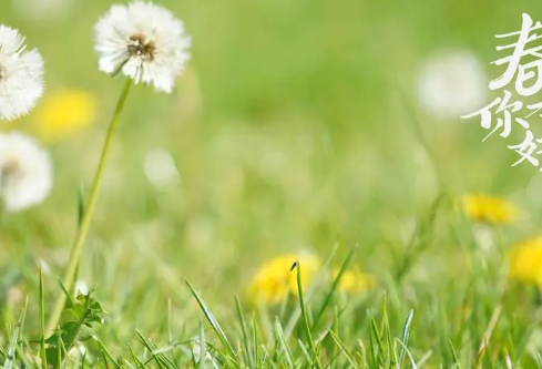 1689025698151861.png image.png