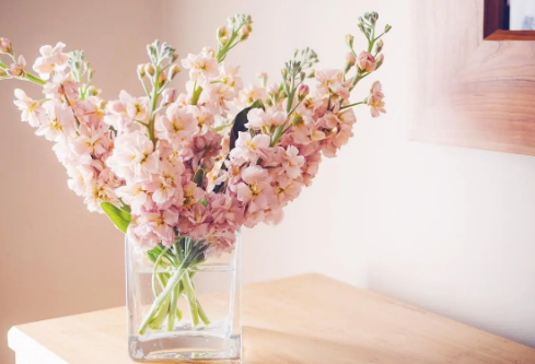 1689025864223027.png image.png