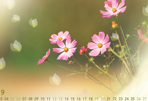 1689026698347520.png image.png