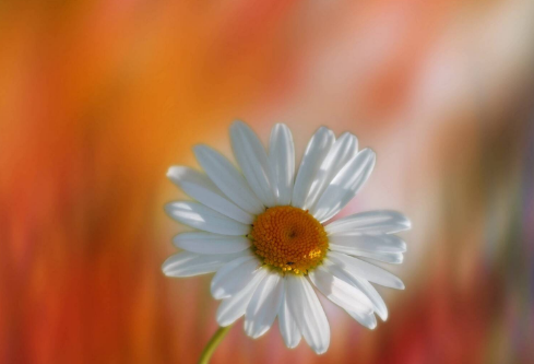 1689026865697678.png image.png