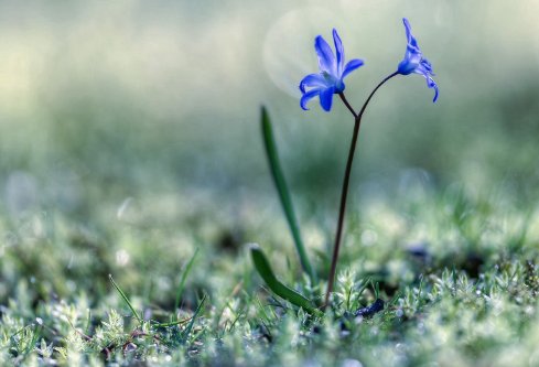 1689027365128763.png image.png