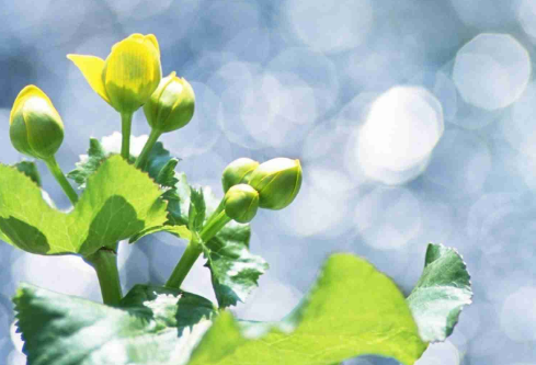 1689027531692176.png image.png