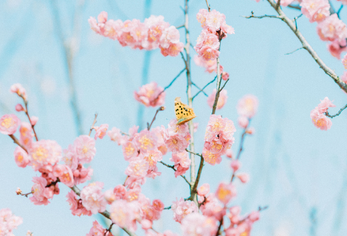 1689027865370742.png image.png