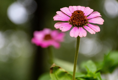 1689028031899762.png image.png