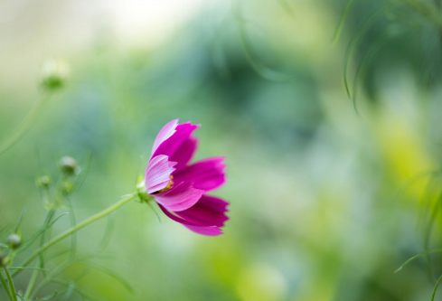 1689028198850917.png image.png