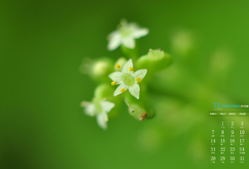 1689028365727303.png image.png