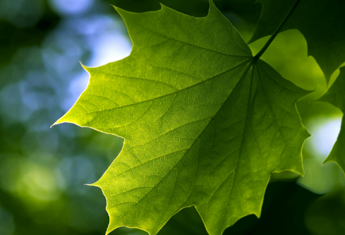 1689028532376631.png image.png