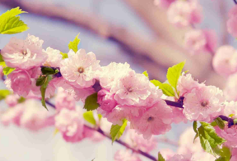 1689028865669644.png image.png