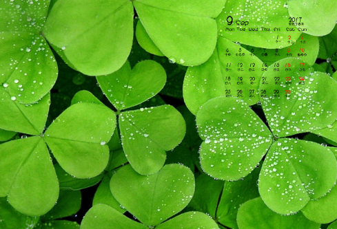 1689029032672682.png image.png