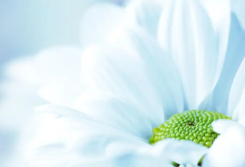 1689029365384879.png image.png