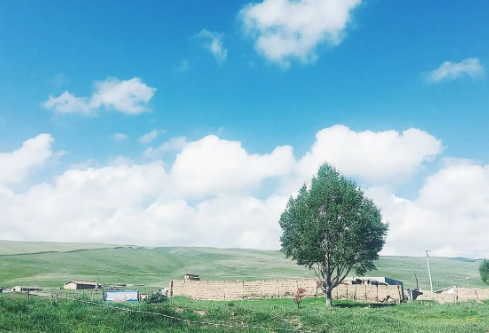 1689029532139622.png image.png