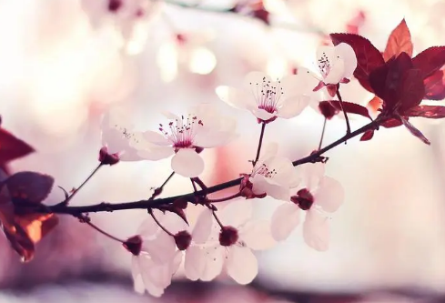 1689029866153879.png image.png