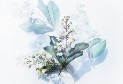 ​4个很有深意的哲理故事简短（有哪些有哲理的故事）