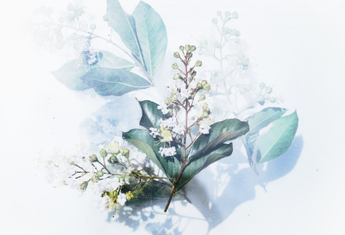 1689030033599538.png image.png