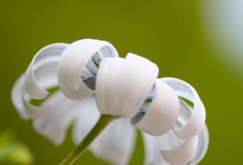 1689030367428454.png image.png