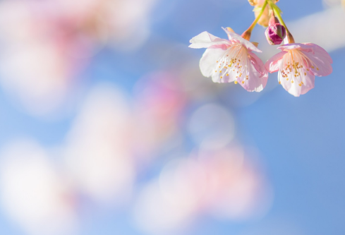 1689030533180271.png image.png