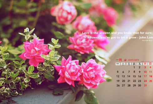 1689030700128291.png image.png