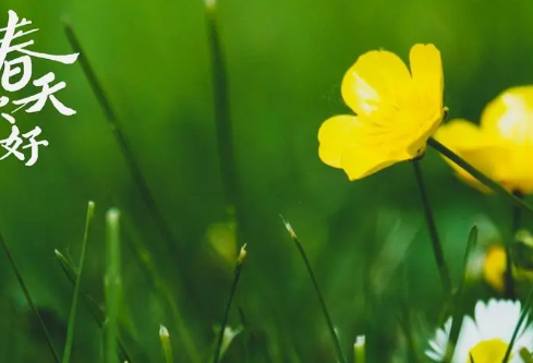 1689031534104438.png image.png