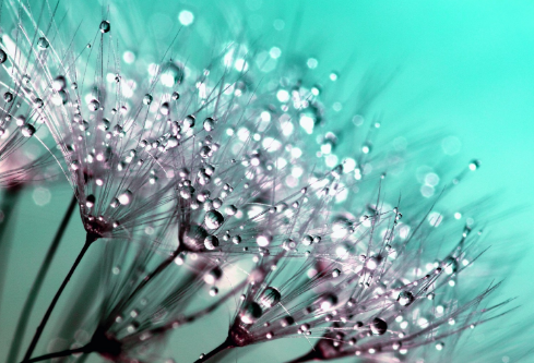 1689031700777995.png image.png