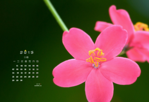 1689032201681111.png image.png