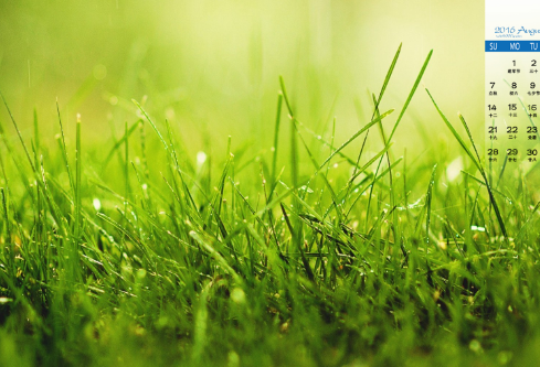 1689032534684411.png image.png