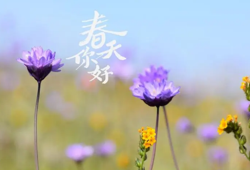 1689032700619576.png image.png