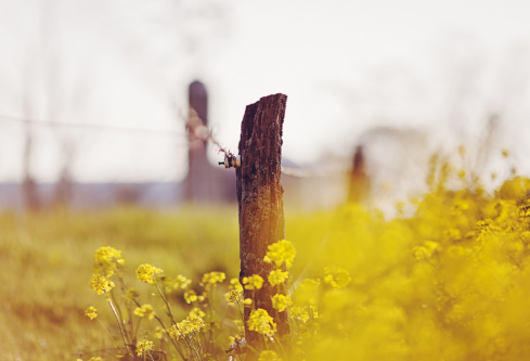 1689033034963776.png image.png