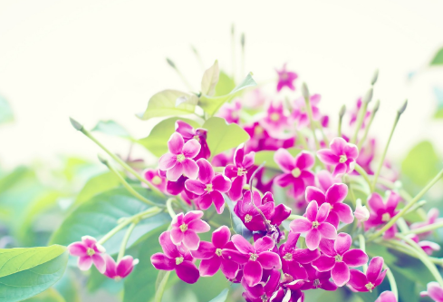 1689034367974809.png image.png