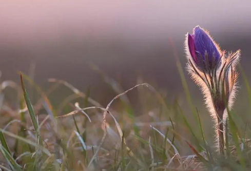 1689034867674355.png image.png